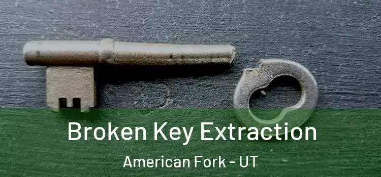Broken Key Extraction American Fork - UT